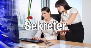 Sekreter Arıpark Parksan Grup Kent Ekipmanları