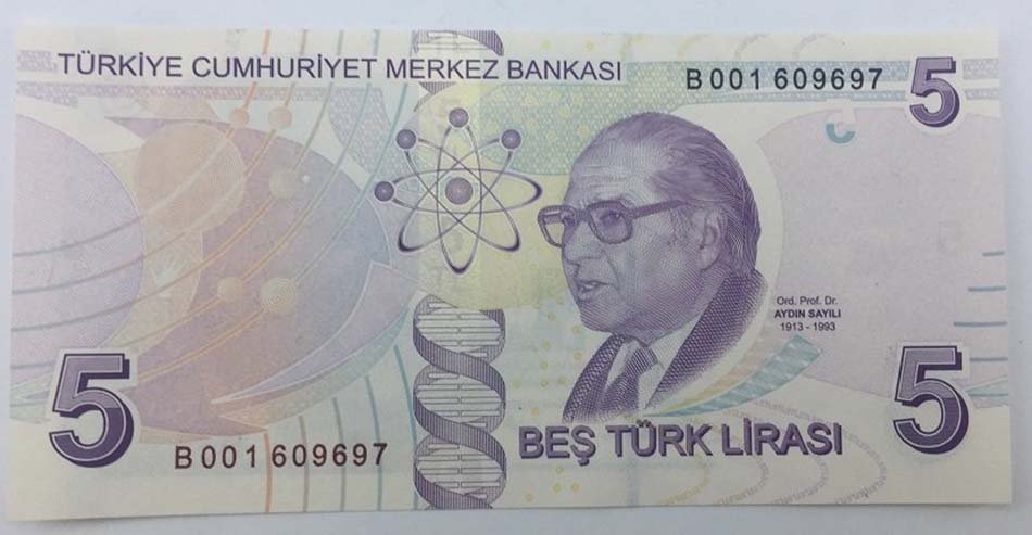 Beş Lira Üzerindeki Resim